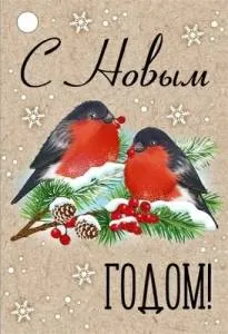 Бирка "Империя поздравлений" 92825