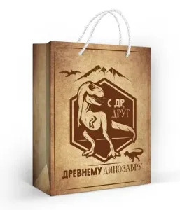 Пакет подарочный (М) 22,7*18 см / 10000269