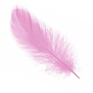 Перья Нежно-розовые (14-17 см) 30 шт. 