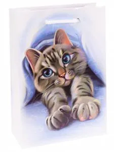 Пакет подарочный MS/ППК-6270 14*20*6,5 см с ламинацией