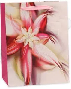 Пакет подарочный XL DREAM CARDS