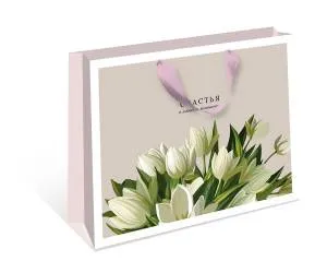 Пакет подарочный 50*40*15 см / 1326.776