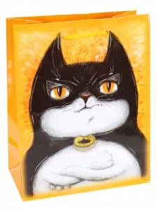 Пакет подарочный М/ПКП-6358 18*23*10 см с ламинацией