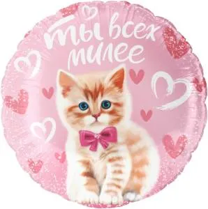 18" Круг, Ты всех милее (котенок) /Китай 13485