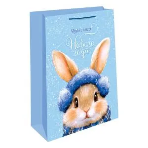 Пакет подарочный 33*42,5*10 см. / 0195.600