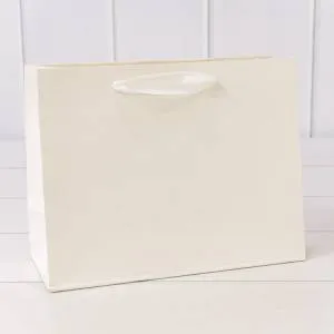 Пакет подарочный 18*23*10 см. Крафт белый / 000222Е/9