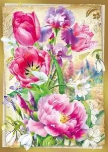 Открытка "М.П." 7.0000195