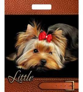 Пакет вырубной Йорк 40*31