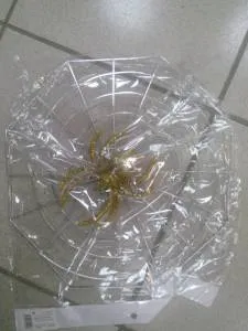 Паутина с пауком 327756,301901