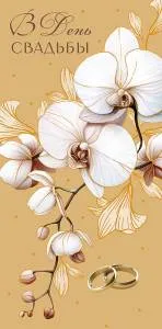 Конверт "А-Д" 0321.208