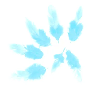 Набор перьев (тиффани) 50 шт./6014770