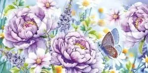 Конверт "Империя поздравлений" 3.0000900