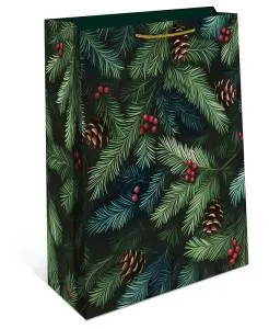 Пакет подарочный 26*32*12 см./ 0193.594