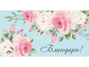 Конверт для денег 1-05-0298