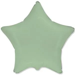 Звезда матовая Mint 18"/ 1204-1608
