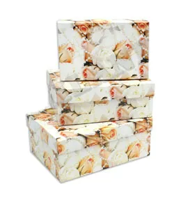 Коробка 23,5*10*16,5 см. ПП-0670