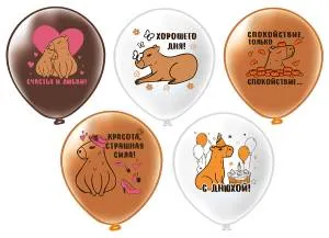 12" СДР Капибара! 5 дизайнов 2 цв. 25 шт (Тайланд) / ч55189