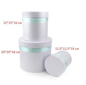 Коробка 20*20*18 см "Нежная гвоздика"