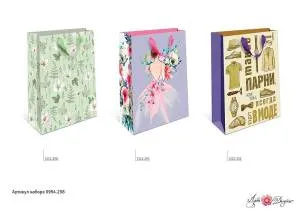 Сумка подар 0994.298