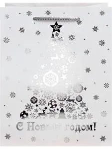 Пакет подарочный М/ПКП-6648 18*23*10 см 