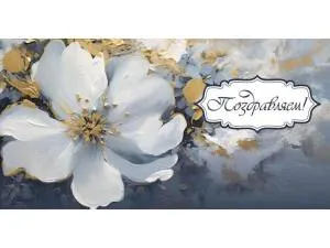 Конверт OPTIMA 1-04-0536