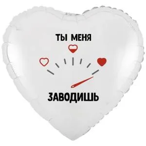 18" РУС Ты меня Заводишь (Китай) / 1202-4156