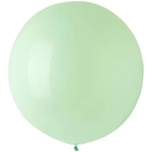 Э 24" Стандарт Macaron Honey Dew /1102-1918