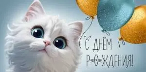 Конверт "Империя поздравлений" 3.0000310