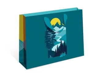 Пакет подарочный 50*40*15 см / 1326.784