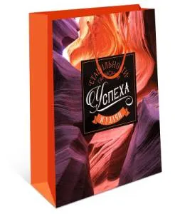 Сумка подар 0293.286