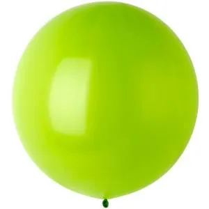 Э 24" Ф Kiwi /1102-1714