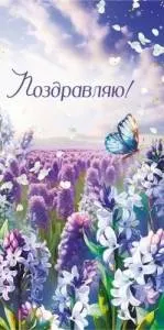 Конверт "Империя поздравлений" 3.0000275