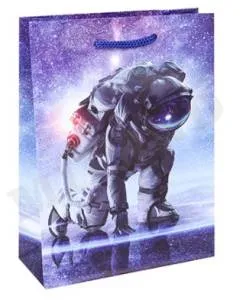 Пакет подарочный L/ППД-9887 22*31*10 см с мат.ламинацией