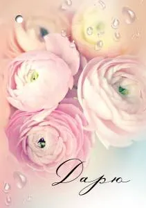 Открытка "Праздник" 2901785