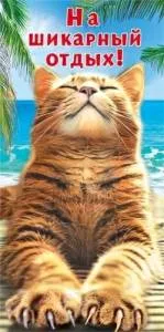 Конверт "М.П." 7.0000443