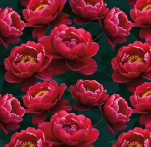 Бумага упак. 70*100 см 10 шт. / 000402/103