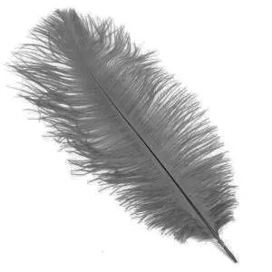 Набор перьев (серые) 30 шт.