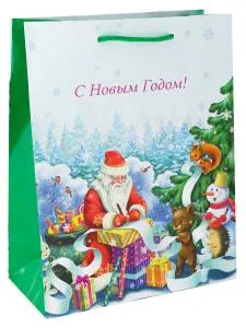 Пакет подарочный ПКП-6106 