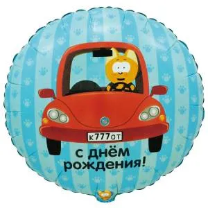 18" ДР Котэ в машине / Китай 1202-4109