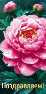 Конверт "М.П." 7.0000352