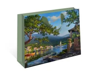 Пакет подарочный 50*40*25 см / 1327.842