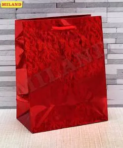 Пакет подарочный ПКП-0912 голография 18*23*10 см.