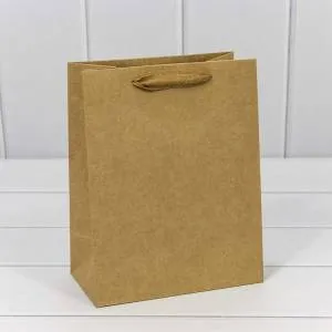 Пакет подарочный 18*23*10 см. Крафт / 000222Е