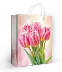 Пакет подарочный (М) 22,7*18 см/ 15.11.02675