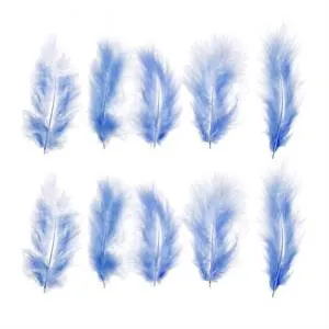 Набор перьев (голубой) 10 шт. 1250951,1250938