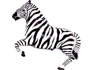 Зебра / Flexmetal