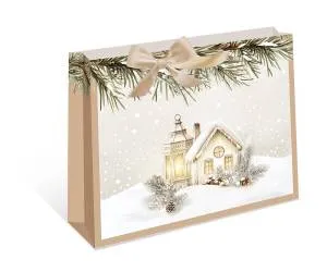 Пакет подарочный 23*18*10 см. / 0557.195