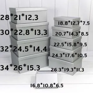 Коробка 32*24,5*14,4 см Серебро