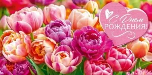 Конверт "Открытая планета" 70996