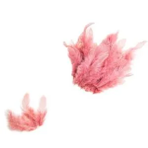 Набор перьев (пыльная роза) 8-10 см 100 шт./Ч51330